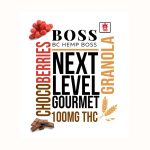 Next Level Gourmet - Dark Chocolate & Red Berries Premium Granola - 100 mg THC